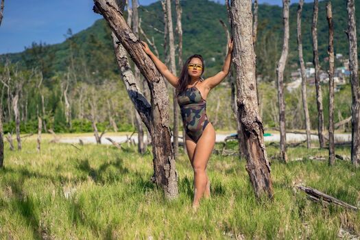 Combustível Sem Imposto