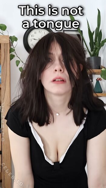 Dont Trust The Rabbit