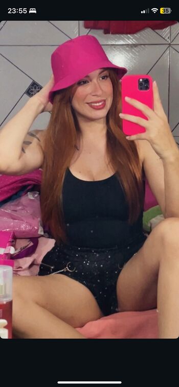 Gatas De Porto Velho