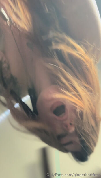 gingerhartfree