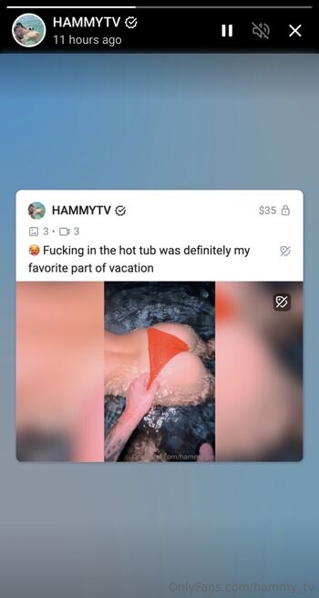Hammy Tv