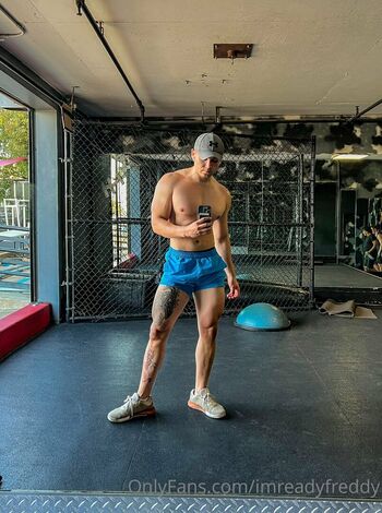 imreadyfreddy