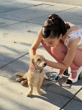 Jennie | BLΛƆKPIИK