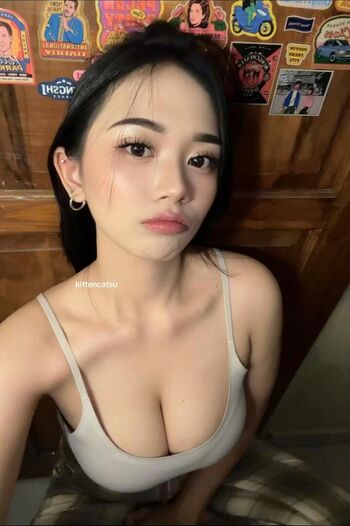 kittencatsu