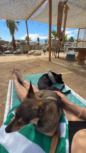 Kristina Rybalchenko