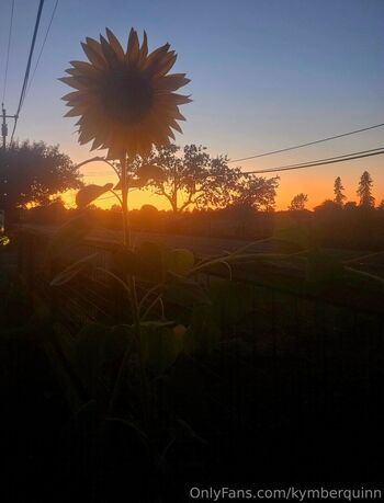 kymberquinn