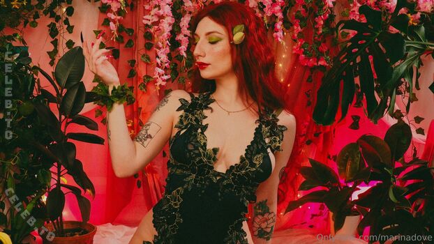 Marina Dove