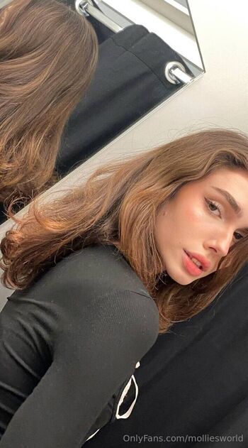 molliesworld