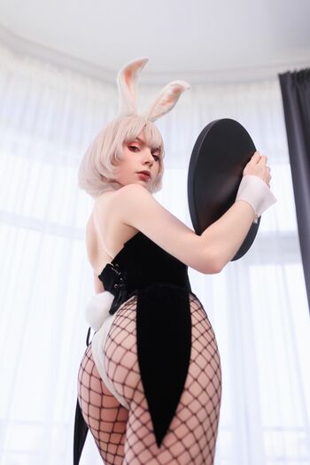 OwlLit / LilyLit / ily_Lit / Lit