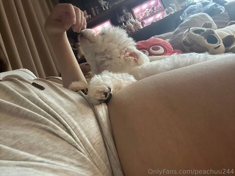 peachuu244