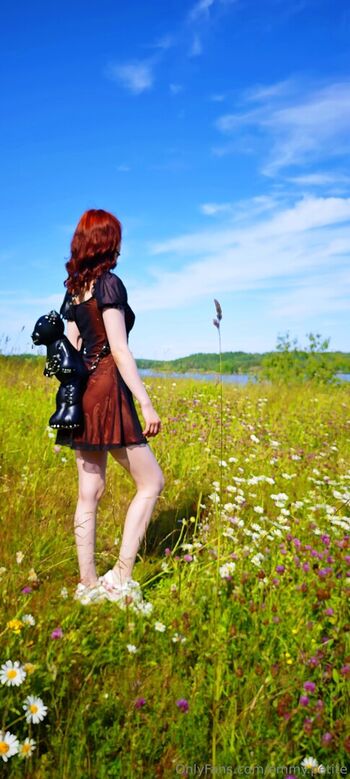 petitescandinavian.free