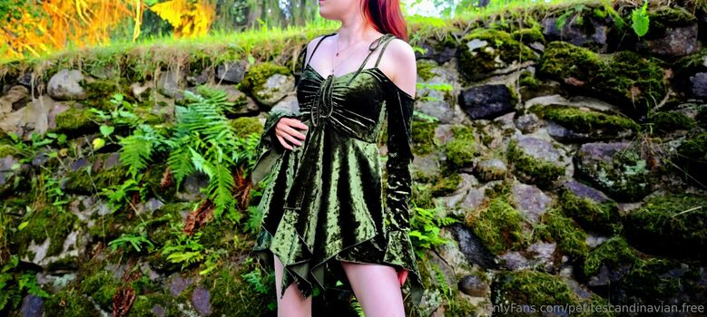 petitescandinavian.free