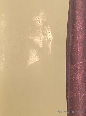 pettyvandalism