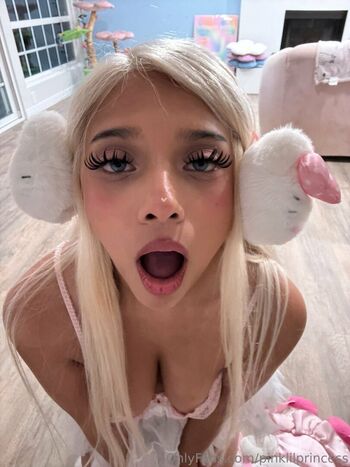 Pinklilprincess