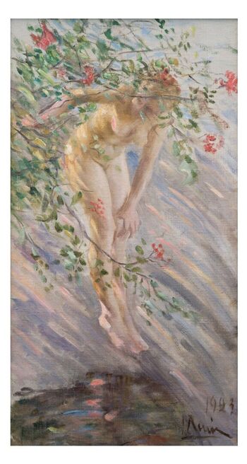 Rosebush