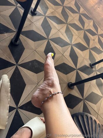 solepurposetexasofficial