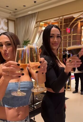 The Bella Twins