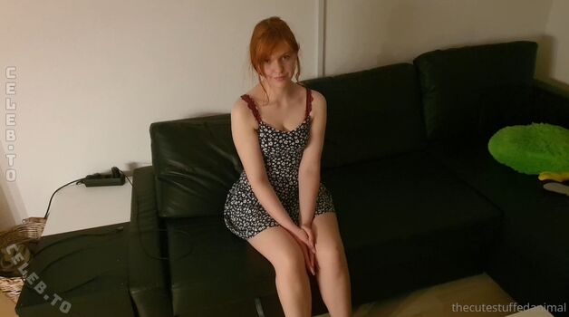 thecutestuffedanimal