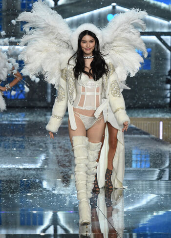 Victoria's Secret Angels