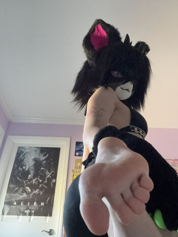 Voidthesphynx