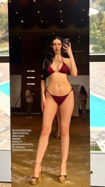 Wineist Turkish Streamer